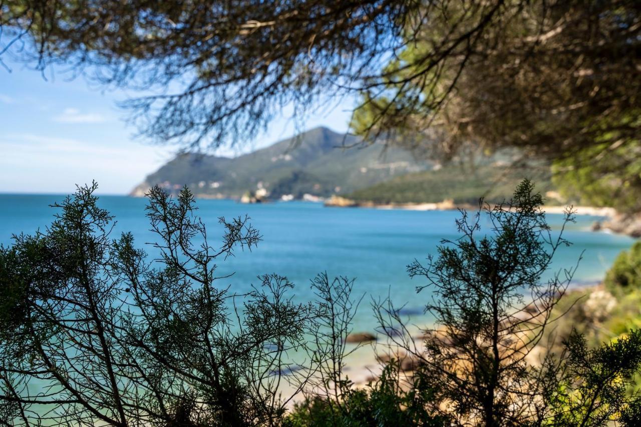 Arrabida Cozy House Villa Palmela Eksteriør bilde