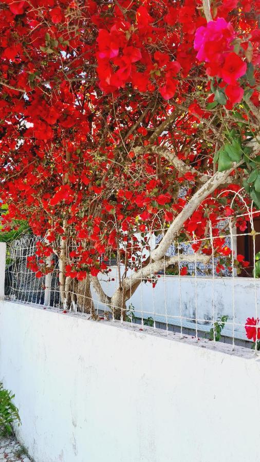 Arrabida Cozy House Villa Palmela Eksteriør bilde